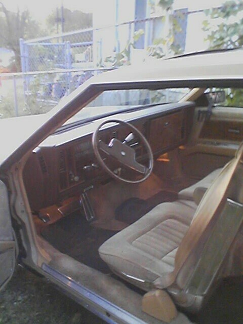 Partial Interior